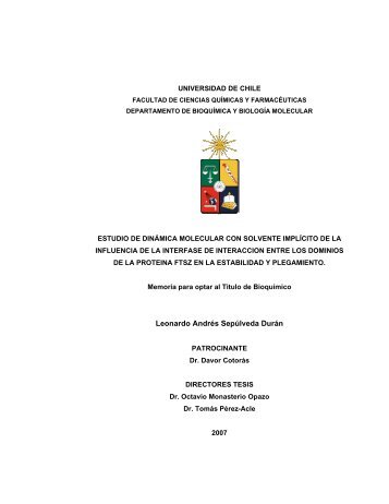 Leonardo Andrés Sepúlveda Durán - Tesis Electrónicas ...