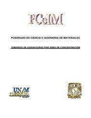 posgrado en ciencia e ingenieria de materiales - Coordinación de ...