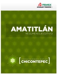 Contratos Integrales EP: Amatitlán
