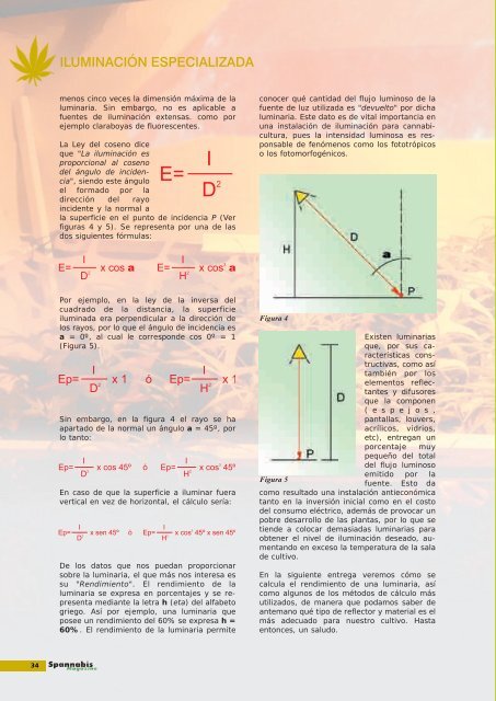 noticias - Cannabis Magazine