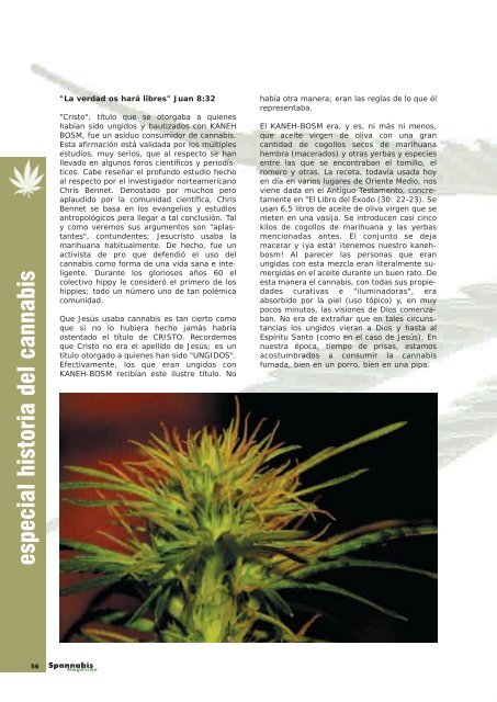 noticias - Cannabis Magazine