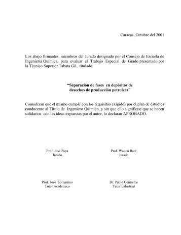 CD Tesis I2001 G463.2.pdf - Saber UCV - Universidad Central de ...