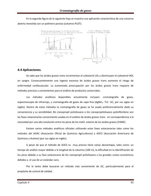 Técnicas Cromatográficas - UNAM