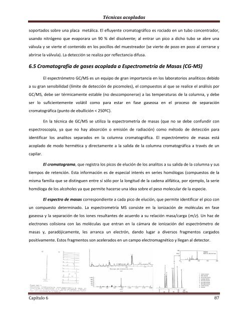 Técnicas Cromatográficas - UNAM