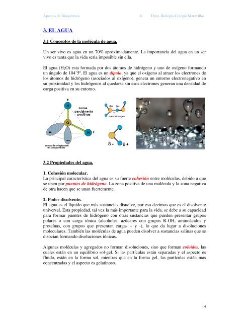 bioquímica 2º bachiller - Colegiomaravillas.com