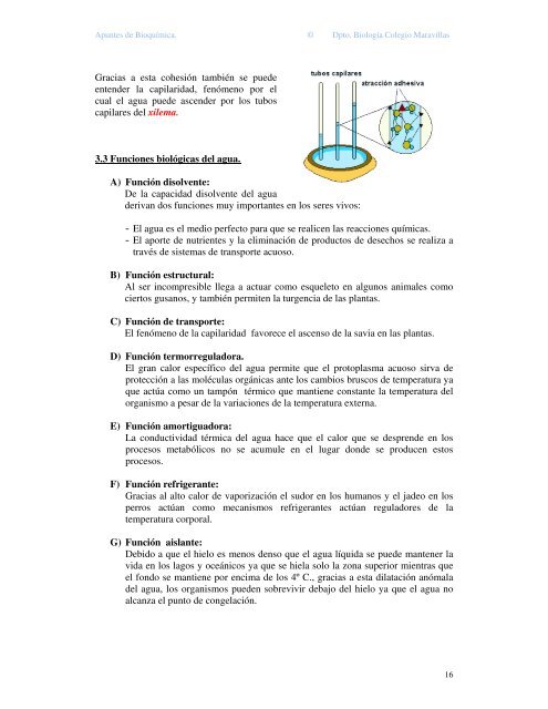 bioquímica 2º bachiller - Colegiomaravillas.com