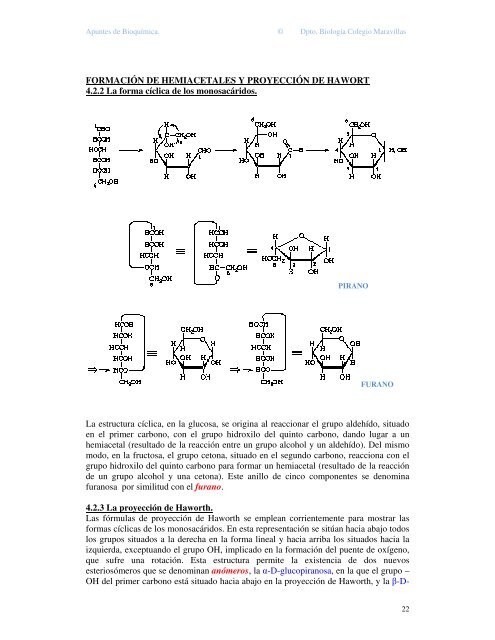 bioquímica 2º bachiller - Colegiomaravillas.com