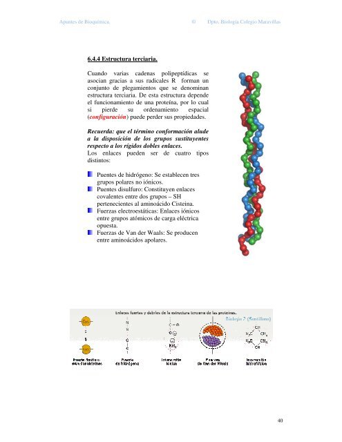 bioquímica 2º bachiller - Colegiomaravillas.com