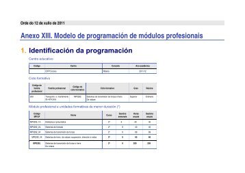 Anexo XIII. Modelo de programación de módulos profesionais