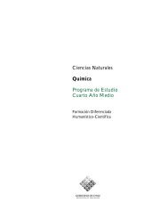 4° Medio Plan Diferenciado - Apuntes de Química