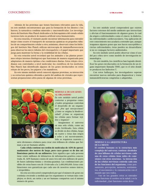 Revista Conocimiento 'El Túnel de la Ciencia' (PDF - science tunnel