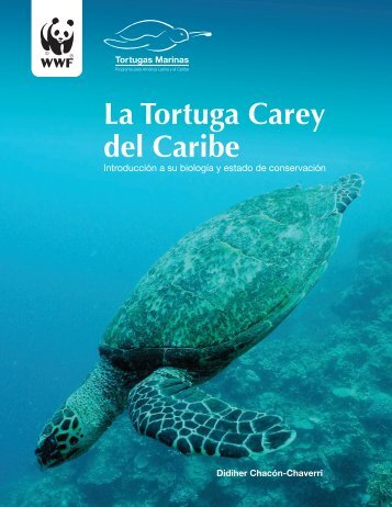 La Tortuga Carey del Caribe - Widecast