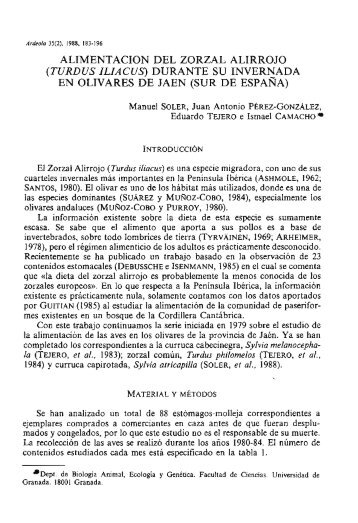 ALIMENTACIÓN DEL ZORZAL ALIRROJO (TURDUS ... - Ardeola