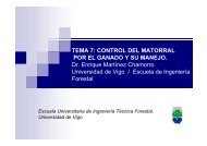 tema 7.pdf