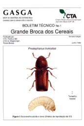 Broca maior dos cereais (Prostephanus truncatus) - Anancy