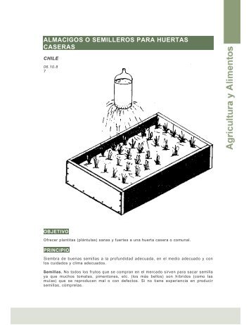 [A093] Almacigos o semilleros para huertas caseras (Chile - ideass