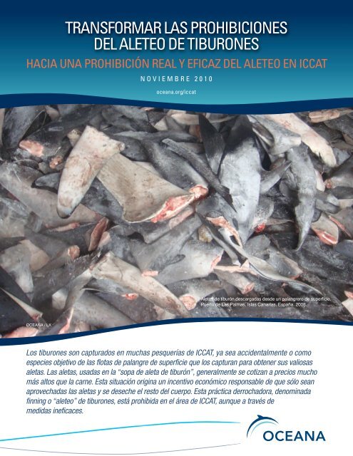 Transformar las prohibiciones del aleteo de tiburones - Oceana