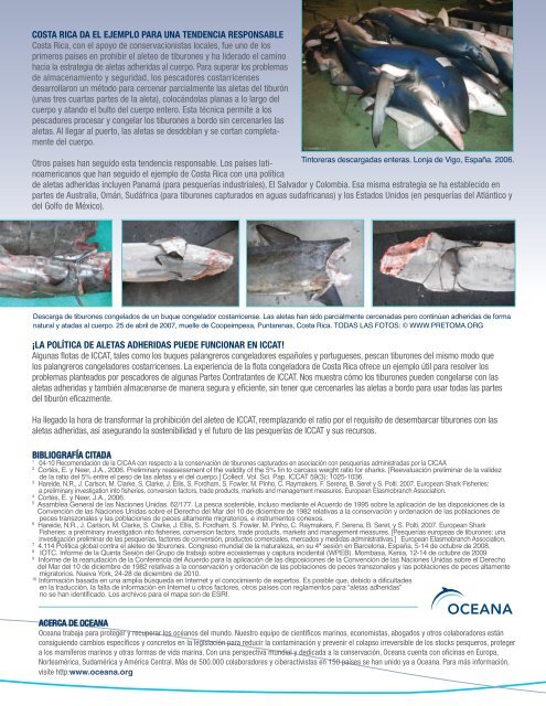 Transformar las prohibiciones del aleteo de tiburones - Oceana