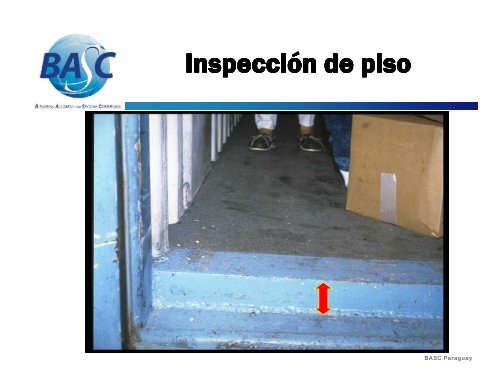 Inspección de Contenedores - BASC - Rediex