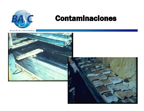 Inspección de Contenedores - BASC - Rediex