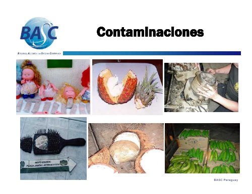 Inspección de Contenedores - BASC - Rediex