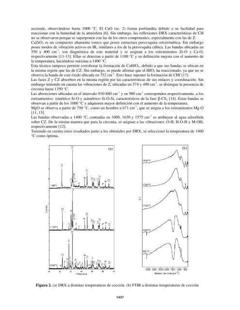 Volumen II - SAM