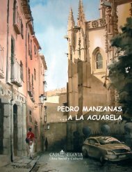 Catalogo Pedro Manzanas - Obra Social y Cultural Caja Segovia