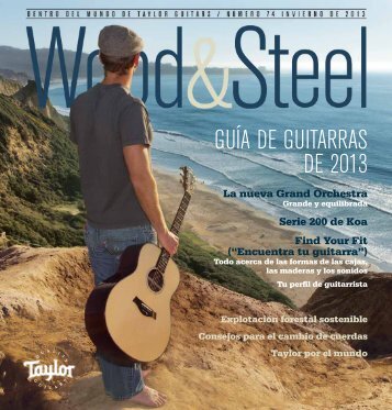 Guía de Guitarras de 2013 - Taylor Guitars