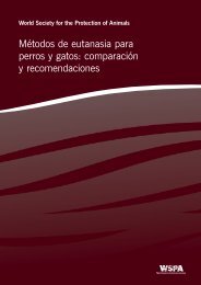Métodos de eutanasia para perros y gatos: comparación y recomendaciones