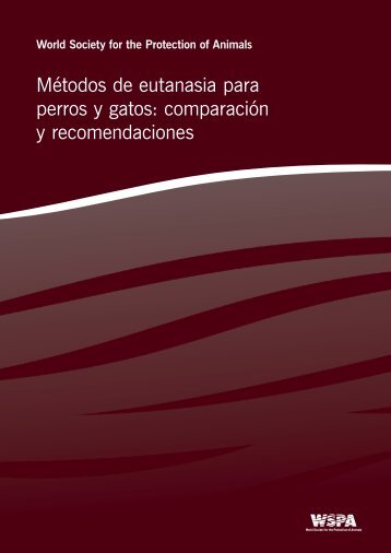 Métodos de eutanasia para perros y gatos: comparación y recomendaciones
