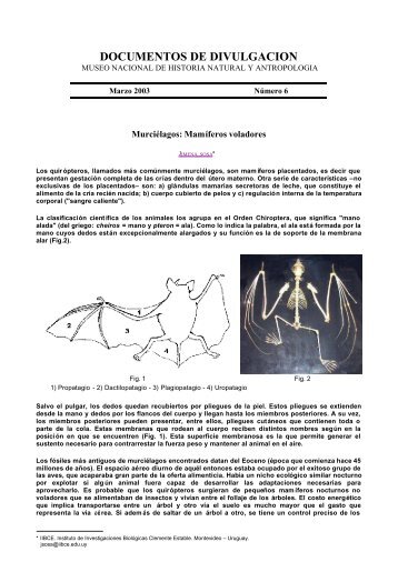 DOCUMENTOS DE DIVULGACION