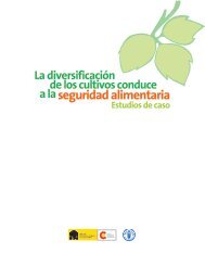 diversificación de los cultivos - PESA Centroamérica
