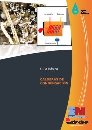 Guía Básica CALDERAS DE CONDENSACIÓN - Fundación de la ...