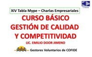 Gestión de Calidad y Competitividad - Emilio Door - Cofide