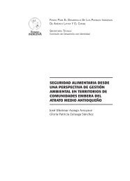 libro PDF - Fondo Indígena