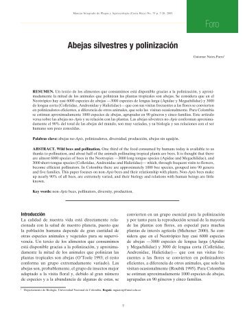 Abejas silvestres y polinización - Catie