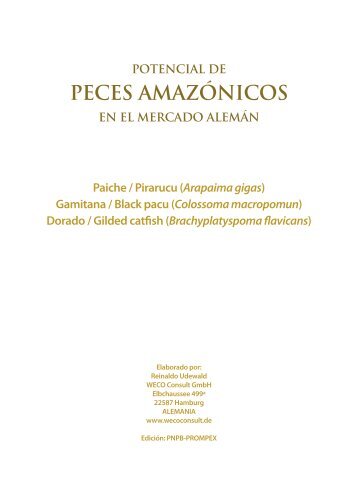 Promamazonia.org.pe - Instituto de Investigaciones de la Amazonía ...