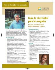 Guide Flyer - Southern California Edison