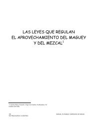 Las Leyes que regulan - Mezcales Tradicionales