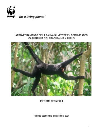 Informe Tecnico II Fauna Silvestre Purus