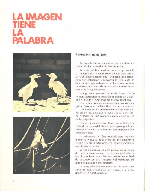 REVISTA DEL PARQUE - Zoo de Barcelona