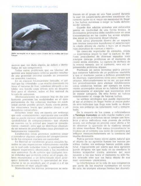 REVISTA DEL PARQUE - Zoo de Barcelona