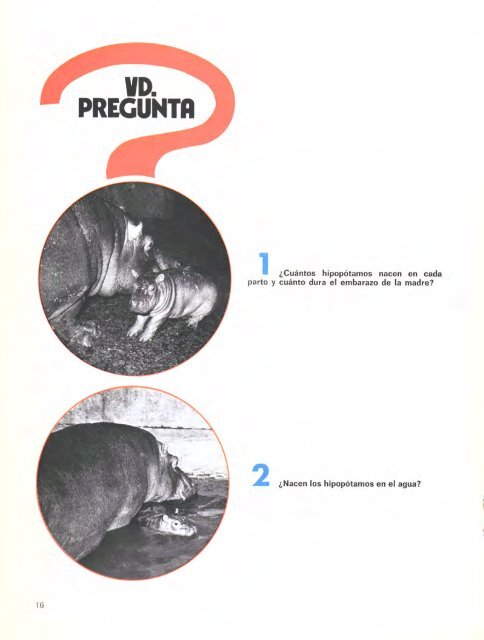 REVISTA DEL PARQUE - Zoo de Barcelona