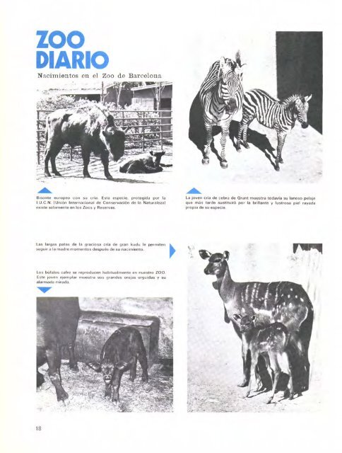 REVISTA DEL PARQUE - Zoo de Barcelona