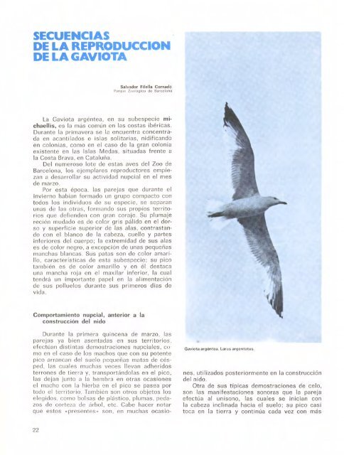 REVISTA DEL PARQUE - Zoo de Barcelona