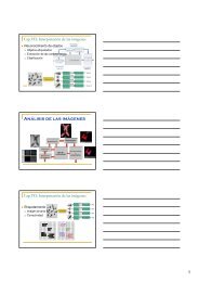 1 Análisis de las imágenes - Elai.upm.es