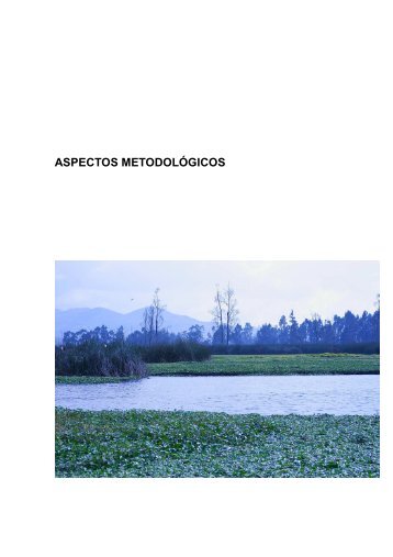 Aspectos metodológicos.pdf - Secretaria Distrital de Ambiente