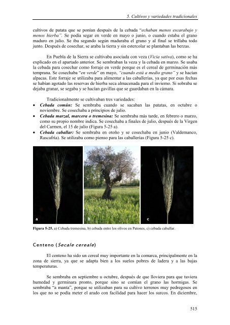 estudio etnobotánico y agroecológico de la sierra norte de madrid