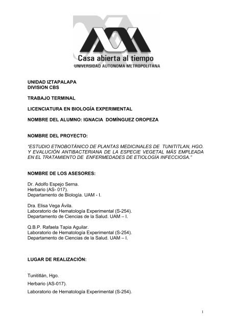 Unidad Iztapalapa Division Cbs Trabajo Terminal Licenciatura En