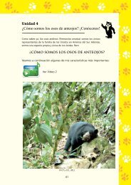 Cómo somos los osos de anteojos? - Cordillera Tropical